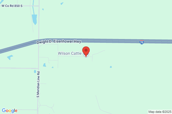 Wilson Cattle Company