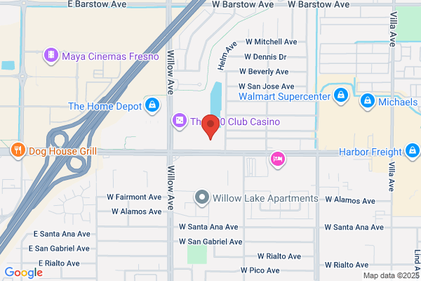 Advance Auto Parts