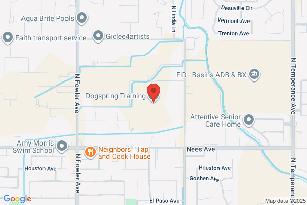 Dogspring Training