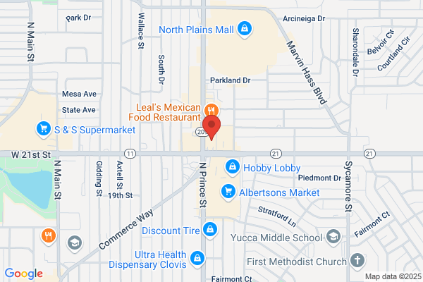 Advance Auto Parts