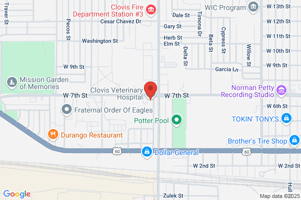 Clovis Veterinary Hospital P A