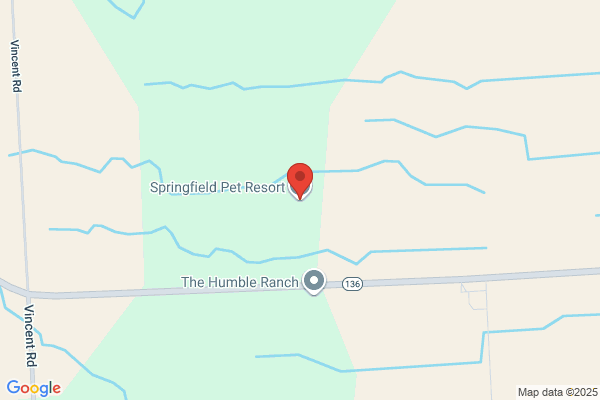Springfield Pet Resort