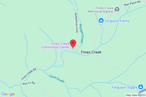 Fines Creek Community Association
