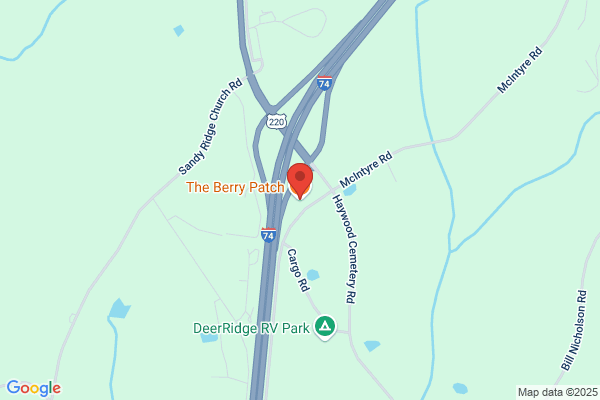 Berry Patch the