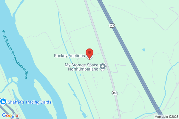 Ash Rocky Auction