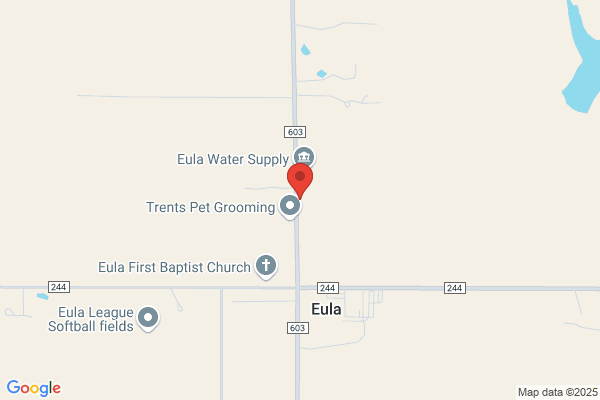 Eula Methodist Church