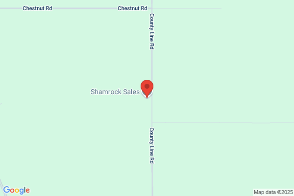 Shamrock Information Service Llc