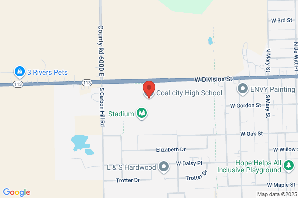 Coal City, Coal City High School