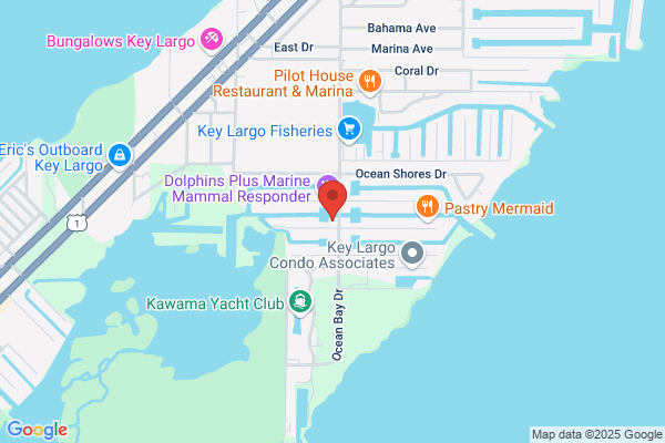 Dolphin Island Salon