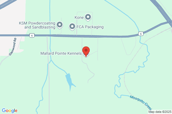Mallard Pointe Kennels