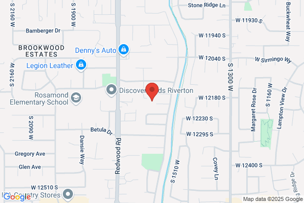 Richins Albert B Inc