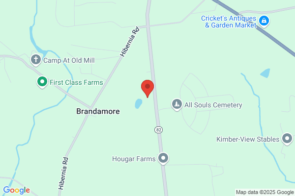 Brandywine Tax Service