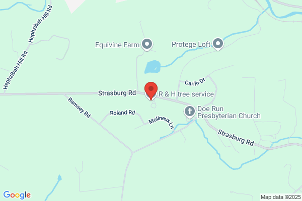 A Nother Tree Service