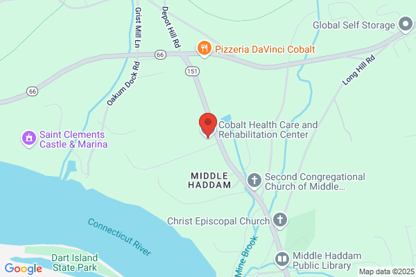 Cobalt Lodge Health Care and Rehabilitation Center