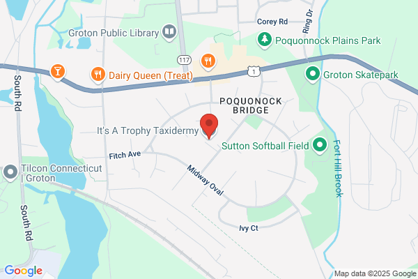 Trophy Room Taxidermy Studio