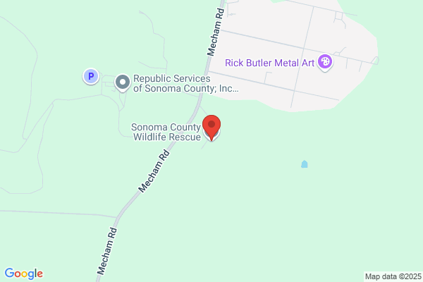 Lake County Wildlife Rescue & Rehabilitation Center
