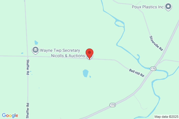 Nicolls & Auctions