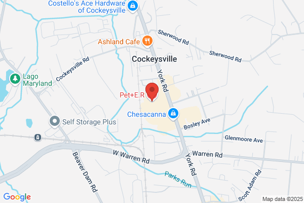Eye Care for Animals - York Rd