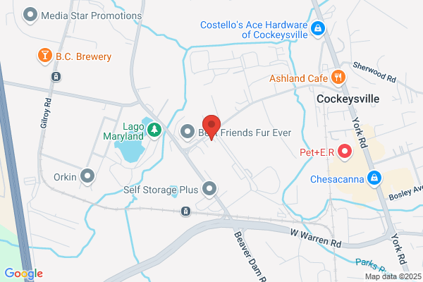 Collision Center of Cockeysville