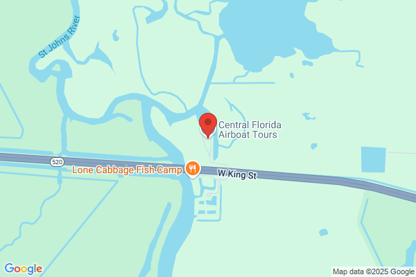 Gator Wetland Tours
