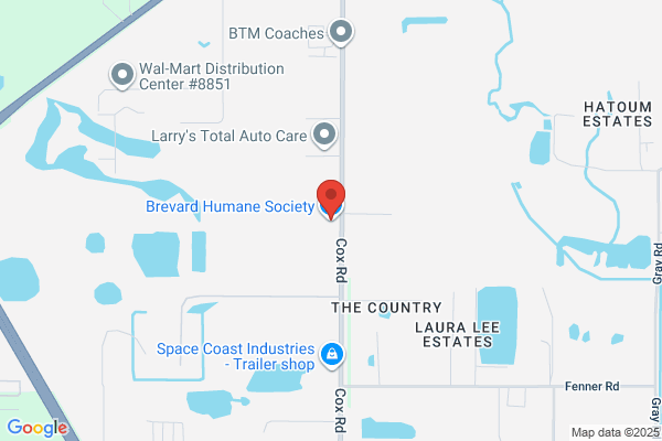 Animal Shelter Central Brevard Humane Society