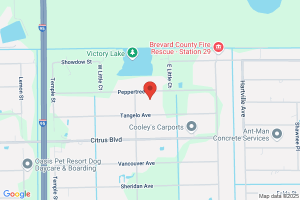 My Place Realty