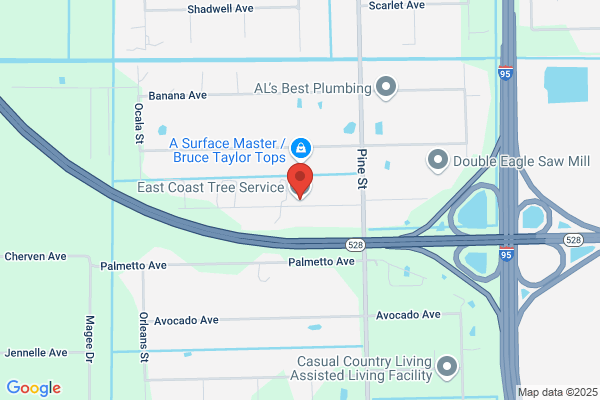 Another Debris & Tree Service