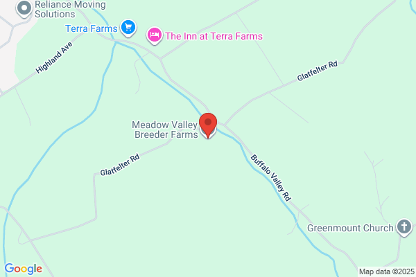 Meadow Valley Breeder Farms