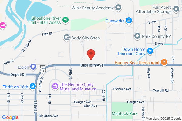Advance Auto Parts