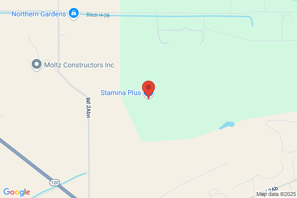 Stamina Plus