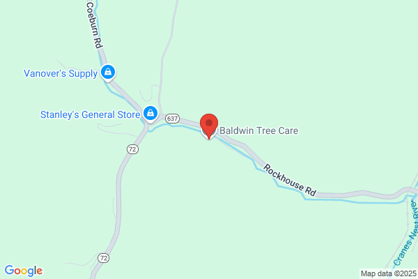 Custom Cuts Tree Care