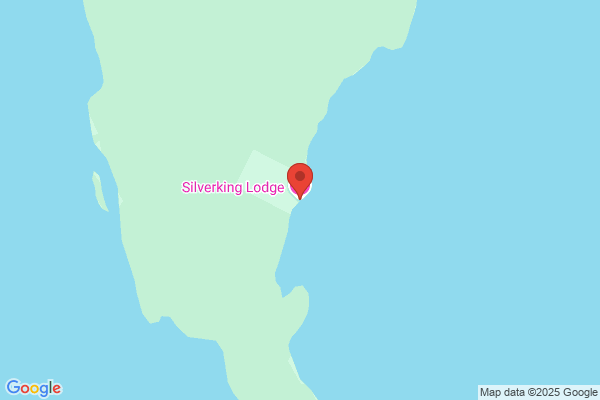 Silver Lining Norquest Seafoods, Wholesale