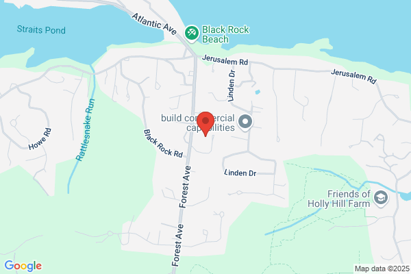 Holles Laboratories Inc