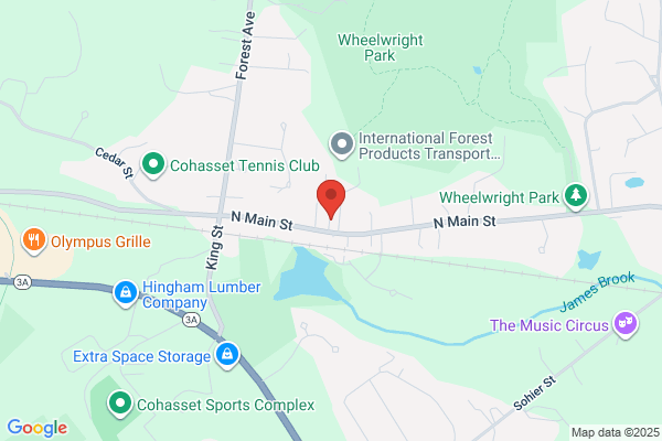 Monster Tree Service of South Shore