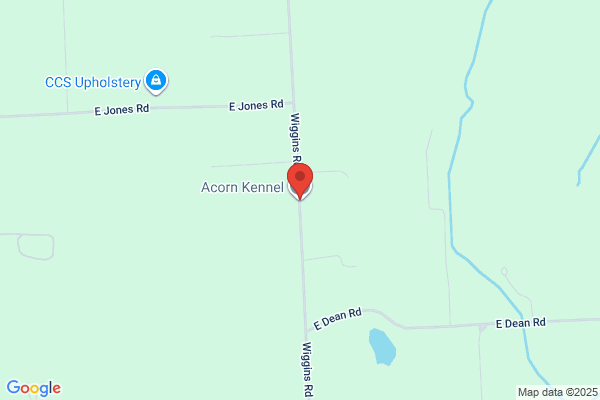 Eko-Lan Kennels