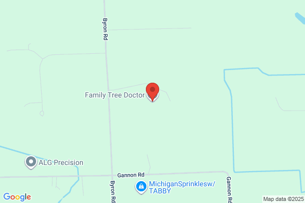 Family Tree Doctor