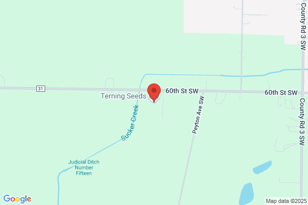 Terning Seeds