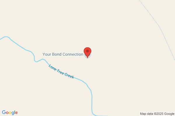 Roadrunner Bail Bonds