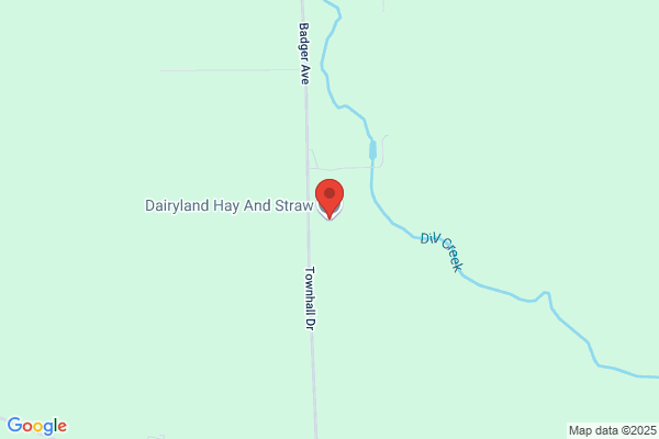 Diaryland Realty Inc