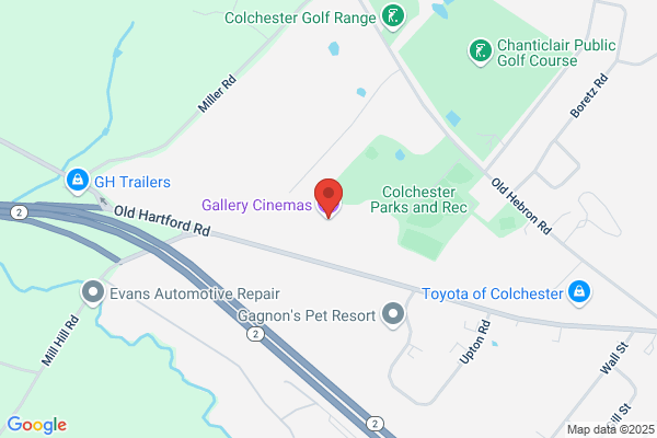 Gallery Cinemas Inc