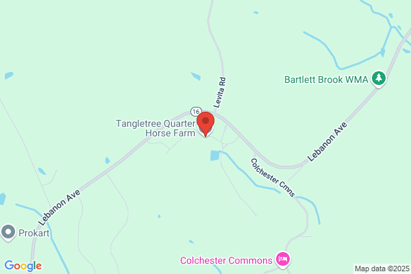 Tangletree Quarter Horse Farm