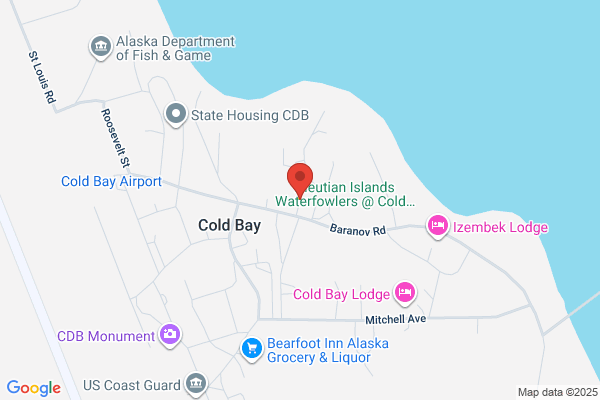 Cold Bay City of