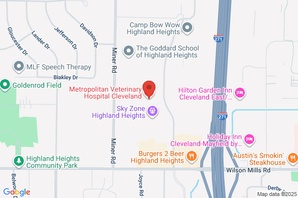 Highland Heights Animal Hospital