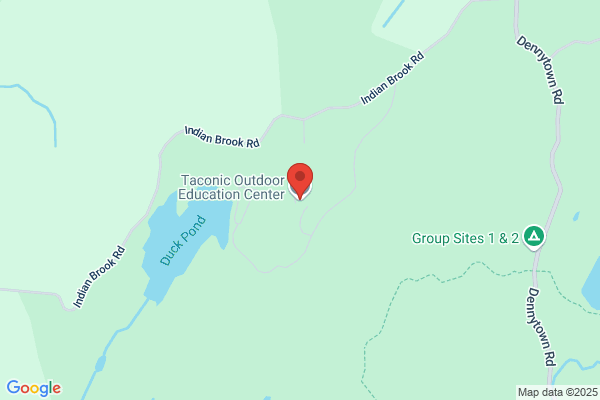 Taconic Surveyng & Engnrng