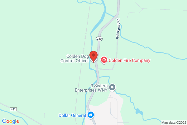 Colden Town of, Dog Control Officer