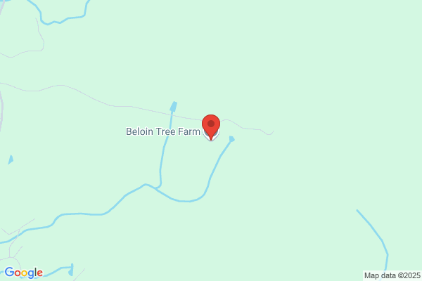 Beloin Tree Farm