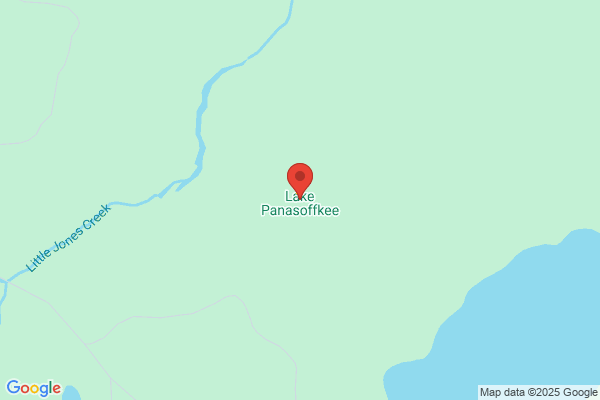 Lake Panasoffkee I-75 KOA