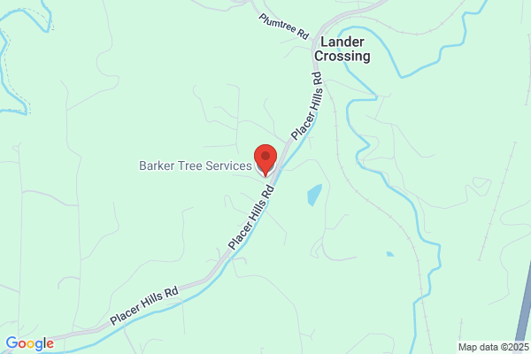Barker Tree Services