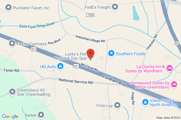 Lucky's Pet Resort & Day Spa