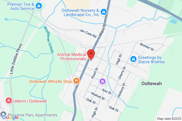 Animal Medical Professionals of Ooltewah